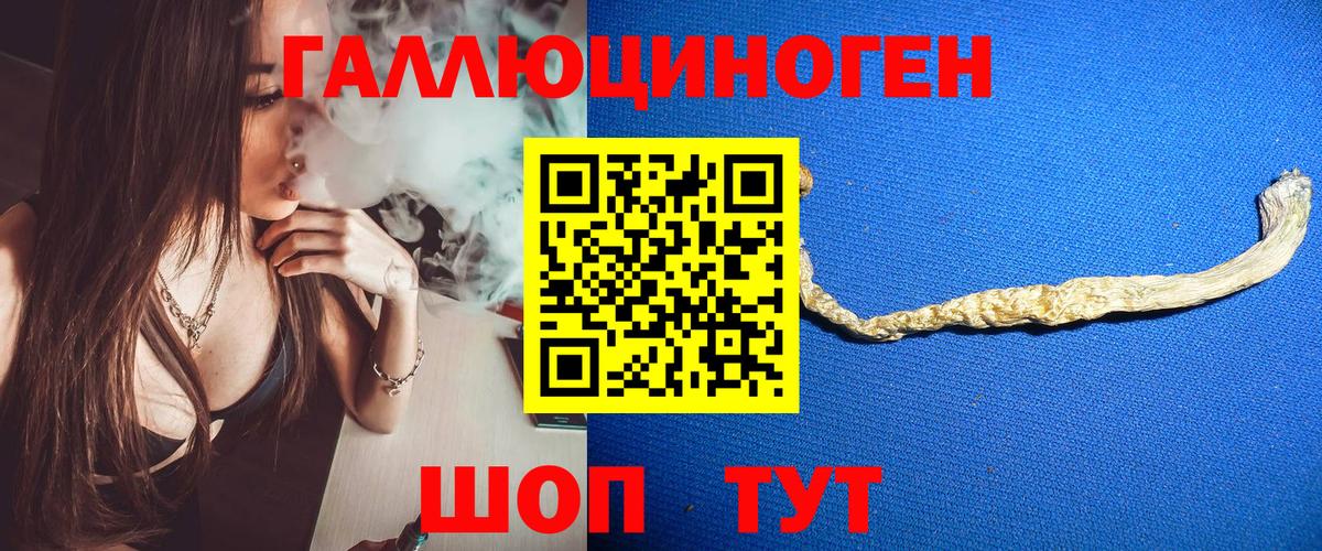 Вышний Волочёк  Галлюциногенные грибы Cubensis  Вход с VPN 